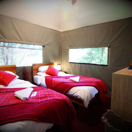 Mali Boutique Lodge & Tube 'N Axe Budget Accommodation Stormsrivier Bilik gambar