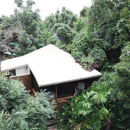 Mali Boutique Lodge & Tube 'N Axe Budget Accommodation Stormsrivier Bilik gambar