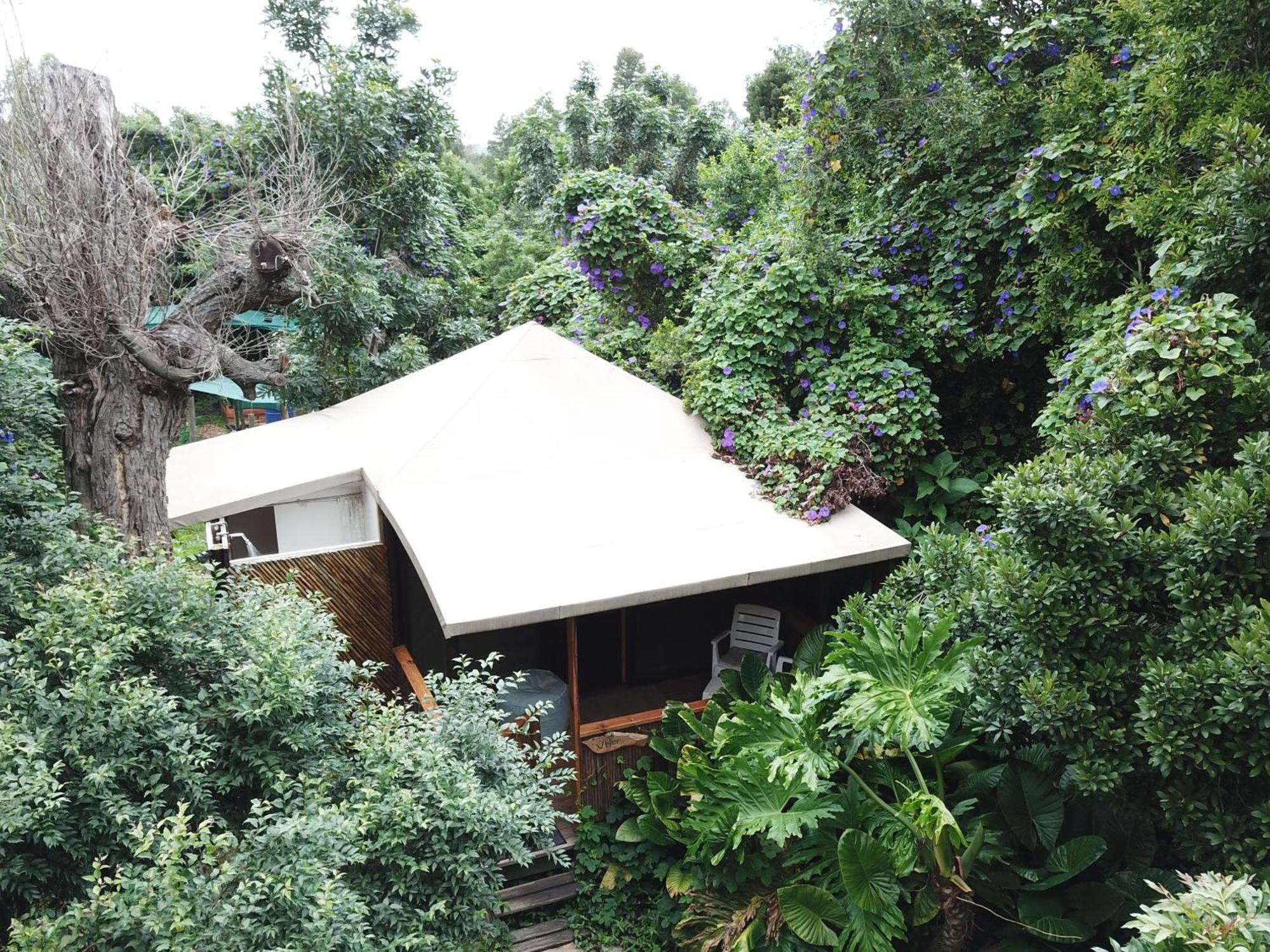 Mali Boutique Lodge & Tube 'N Axe Budget Accommodation Stormsrivier Bilik gambar